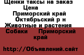 Щенки таксы на заказ. › Цена ­ 3 000 - Приморский край, Октябрьский р-н Животные и растения » Собаки   . Приморский край